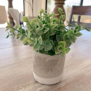 🌿 Faux Eucalyptus Plant